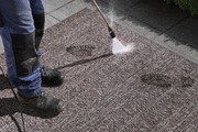 Teppich, »Granado«, bougari, rechteckig, Höhe 6 mm, maschinell gewebt