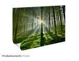 Artland, Artland Wandbild »Fotocollage von 32 bunten Haustüren«