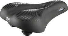 Selle Royal Avenue (moderate) bicycle seat / / ladies (classic)