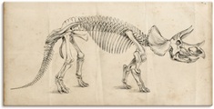Artland Wandbild »Dinosauria Lehre II«