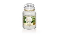 Yankee Candle - Duftkerze Camellia Blossom - 623 g
