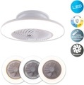 näve LED Deckenleuchte »Adoranto Deckenventilator«, Deckenlampe, Ventilator, Fernbed., 3-stufiger Lüfter 60W