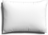 Schlafgut, Schlafgut Kissenbezug »EASY Jersey, 100% Baumwolle, u.a. in Gr. 40x40, 40x80 oder 80x80 cm«, (1 St.), Kissenhülle mit Reissverschluss, weich und saugfähig, Kissenbezug