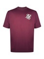 Siksilk
