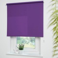 LIEDECO, Seitenzugrollo, Liedeco, »Kettenzugrollo, Uni«, Lichtschutz, Fixmass