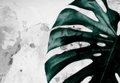 Consalnet, CONSALNET Vliestapete »Grüne Monstera Blume«, in verschiedenen Grössen