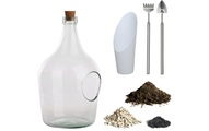 DIY Plant-Set offene Terrariumflasche 3L