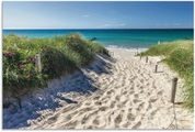 Artland Wandbild »Weg zum Strand an der Ostsee«, Strandbilder, (1 St.), in vielen Grössen & Produktarten - Alubild / Outdoorbild für den Aussenbereich, Leinwandbild, Poster, Wandaufkleber / Wandtattoo auch für Badezimmer geeignet