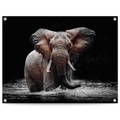 Reinders! Poster »Elefant«, Outdoor für Garten oder Balkon