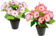 IGEA, I.GE.A. Kunstblume »Petunien«, Im Topf, 2er Set Petunien Zierpflanze Glockenblume klein Blumen Deko