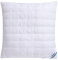 Beco Synthetikkopfkissen »GUMO«, Füllung: Polyester, Bezug: Microfaser-Baumwolle-Feingewebe, (1 St.), softige und gut stützende Kissen