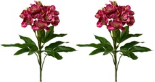 Creativ green Winterliche Kunstpflanze, (2 St., 2 Stück), üppiges Blüten- und Blattwerk, 2er-Set
