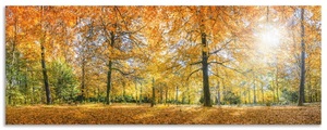 Artland Küchenrückwand »Herbstwald Panorama«