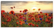 Artland Wandbild »Mohnblumen«