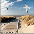 Artland Glasbild »Nordseestrand auf Langeoog mit Möwen«