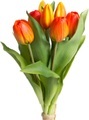 DELAVITA Kunstblume »Willa«, (Set, 7 St.), Tulpenbündel im 7er-Set