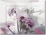 Artland Wandbild »Fotocollage - Gerberas, lila«, Blumen, (1 St.)