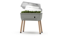 Gusta Garden, Gusta Garden Hochbeet SAMMY SALAD Starterset, Hellgrau