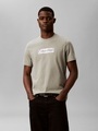 Calvin Klein T-Shirt Reine Baumwolle, Regular Fit, Glanzdruck