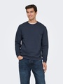 ONLY & SONS Sweatshirt »ONSCERES CREW NECK NOOS«