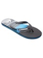 Quiksilver Sandale »Molokai Panel«
