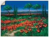 Artland Wandbild »Primelfeld«