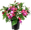 I.GE.A. Kunstblume »Fuchsien«, Im Topf Zimmerpflanze Deko Doppelblütenblätter Topfpflanze Hybrid Hort