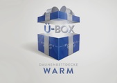 Excellent Daunenbettdecke »Überraschungsbox«, warm, Füllung 90% Daunen, 10% Federn, Bezug Baumwolle, (1 St.), absoluter Sonderpreis, wegen Lagerräumung, Solange der Vorrat reicht