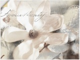Artland Wandbild »Magnolie_Detail«, Blumenbilder, (1 St.), in vielen Grössen & Produktarten - Alubild / Outdoorbild für den Aussenbereich, Leinwandbild, Poster, Wandaufkleber / Wandtattoo auch für Badezimmer geeignet