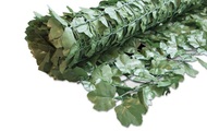 Windhager, Windhager Sichtschutz Hecke Ahorn 1.5x3m
