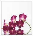 Artland, Artland Küchenrückwand »Phalaenopsis Orchidee«, (1 tlg.), Alu Spritzschutz mit Klebeband, einfache Montage