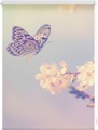 Seitenzugrollo, Lichtblick, »Schmetterling«, Klemmfix, Kettenzug, Lichtschutz, Fixmass, ohne Bohren