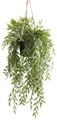 Emerald Kunstpflanze Bambus Hängend in Topf 50 cm