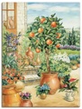 Artland Wandbild »Orangenbaum im Garten«