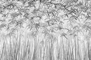 Papermoon Fototapete »Photo-Art JEFFLIN LING, PARALLELITÄT«, Vliestapete, hochwertiger Digitaldruck, inklusive Kleister