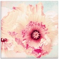 Artland Glasbild »Pastell Mohn«
