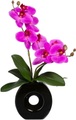 Creativ green Kunstorchidee »Phalaenopsis« (1 Stück)