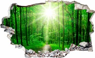 Wandtattoo »Sunny Forest«