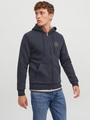 Jack & Jones Kapuzensweatjacke »JPRBLUSHIELD TEDDY SWEAT ZIP SG SN«