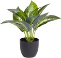 Botanic-Haus Künstliche Zimmerpflanze »Dieffenbachia«