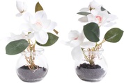 Botanic-Haus Kunstblume »Magnolie im Glas«, (Set, 2 St.)