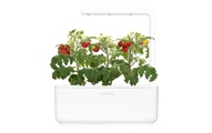 Click and Grow Click and Grow