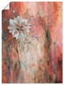 Artland Wandbild »Schwarzkümmel I«