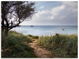 Artland Glasbild »Wege zum Meer....«