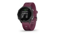 Garmin, Forerunner 245 Sportuhr