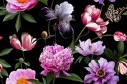 Papermoon Fototapete »BLUMEN ABSTRAKT-MUSTER DESIGN ROSEN BLUMEN DECOR RETRO«, Vliestapete, hochwertiger Digitaldruck, inklusive Kleister