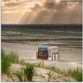 Artland Glasbild »Schwarzer Busch Strand auf Insel Poel«