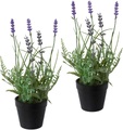 Creativ green, Creativ green Kunstpflanze »Lavendel« (3 Stück)
