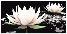 Artland Wandbild »Zwei Lotusblumen auf dem Wasser«