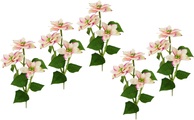 IGEA, I.GE.A. Kunstblume »Poinsettie«, (5 St.), Künstlicher Poinsettiazweig, 5er Set